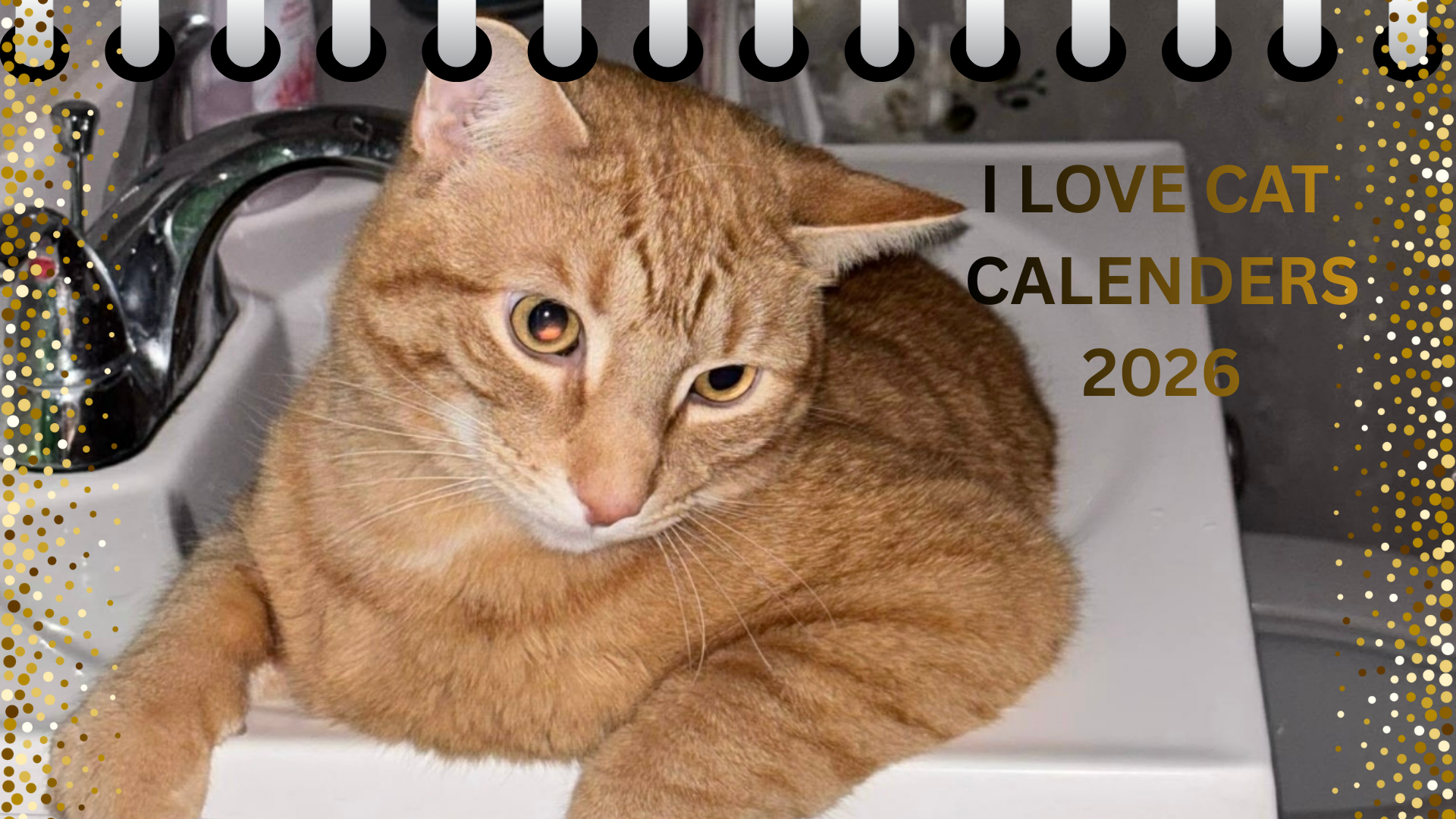 Purr-fect Year Ahead: I Love Cat Calendars 2026 Wall Calendar