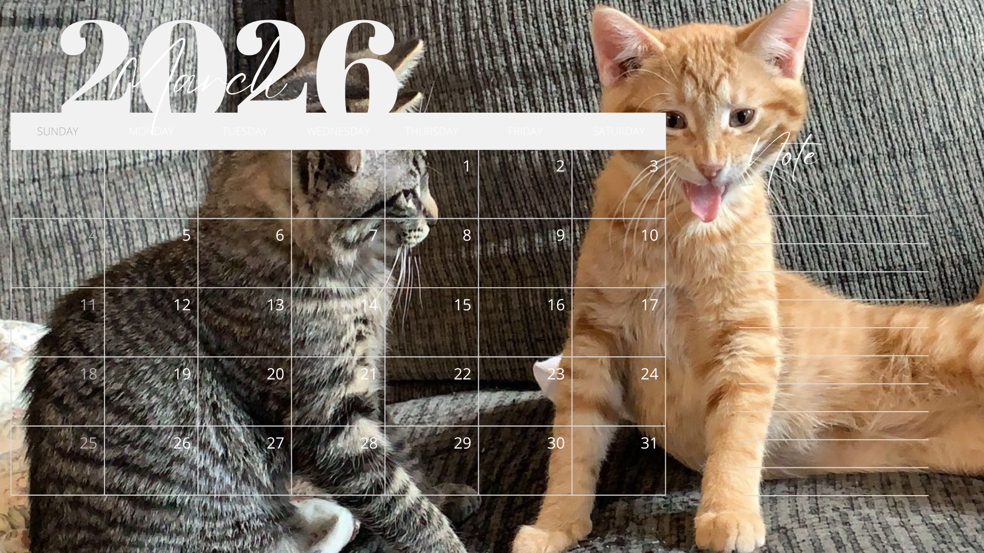 Purr-fect Year Ahead: I Love Cat Calendars 2026 Wall Calendar