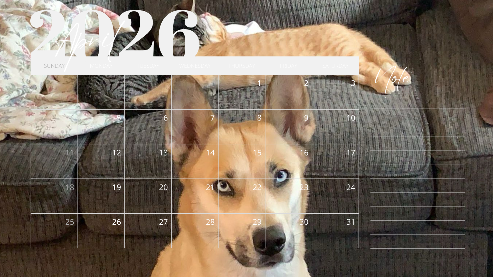 Purr-fect Year Ahead: I Love Cat Calendars 2026 Wall Calendar