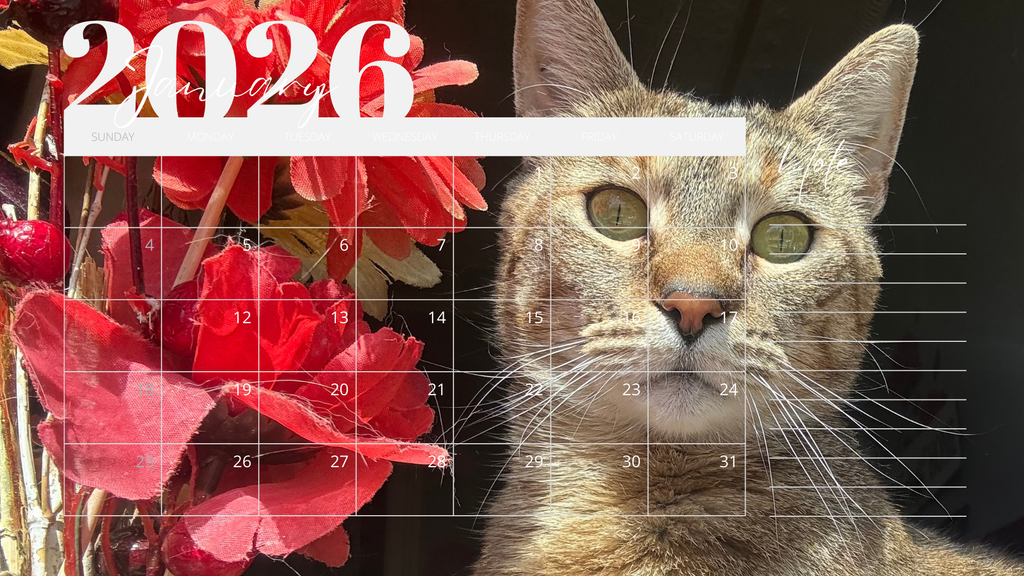 Purr-fect Year Ahead: I Love Cat Calendars 2026 Wall Calendar
